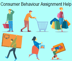 Consumer Behavior Assignment Help